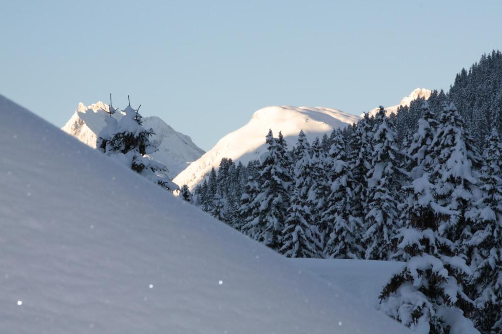 Appartement Omeshorn Anno 1593 Lech am Arlberg Eksteriør bilde